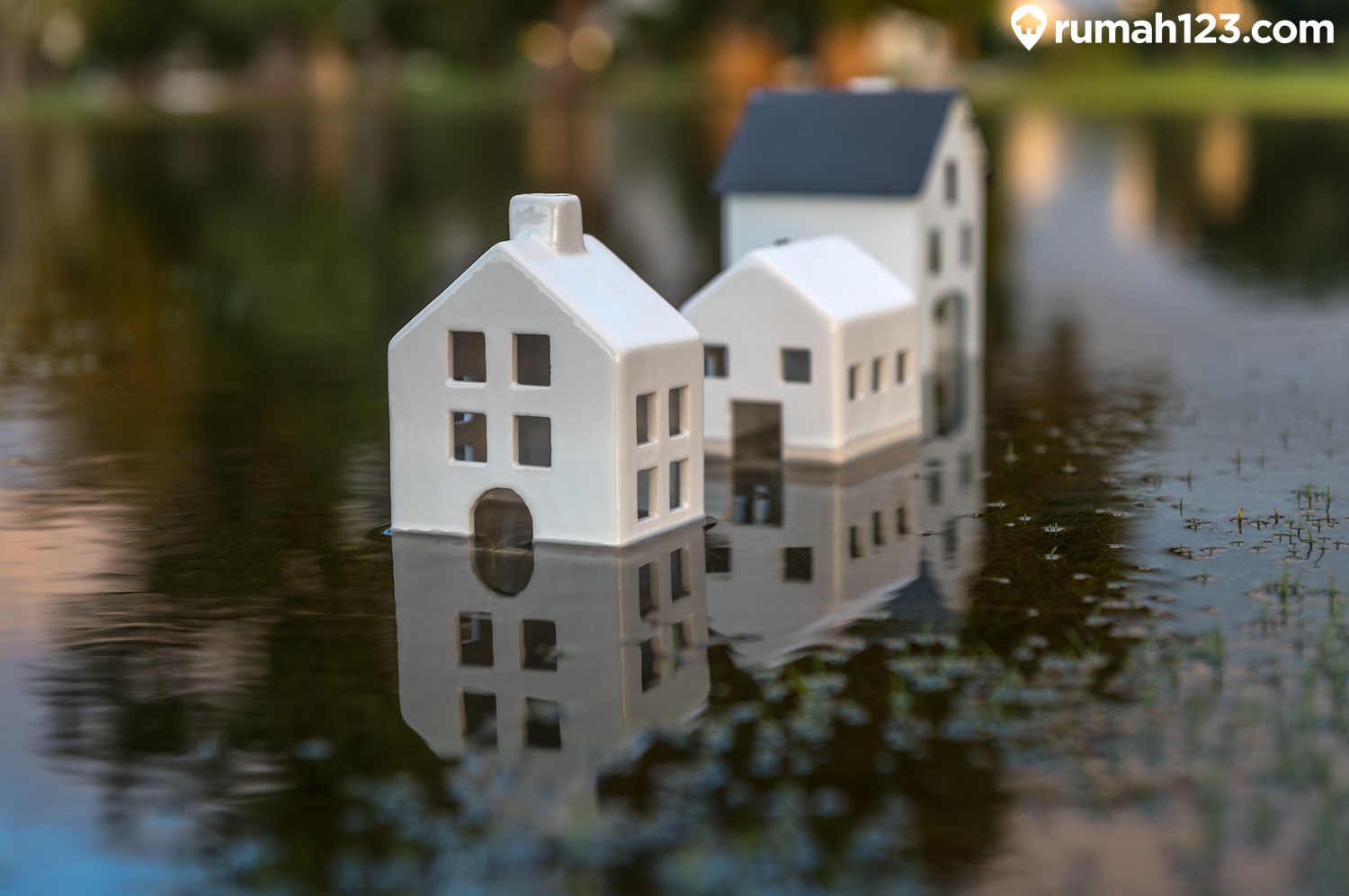 rumah anti banjir rumah anti banjir