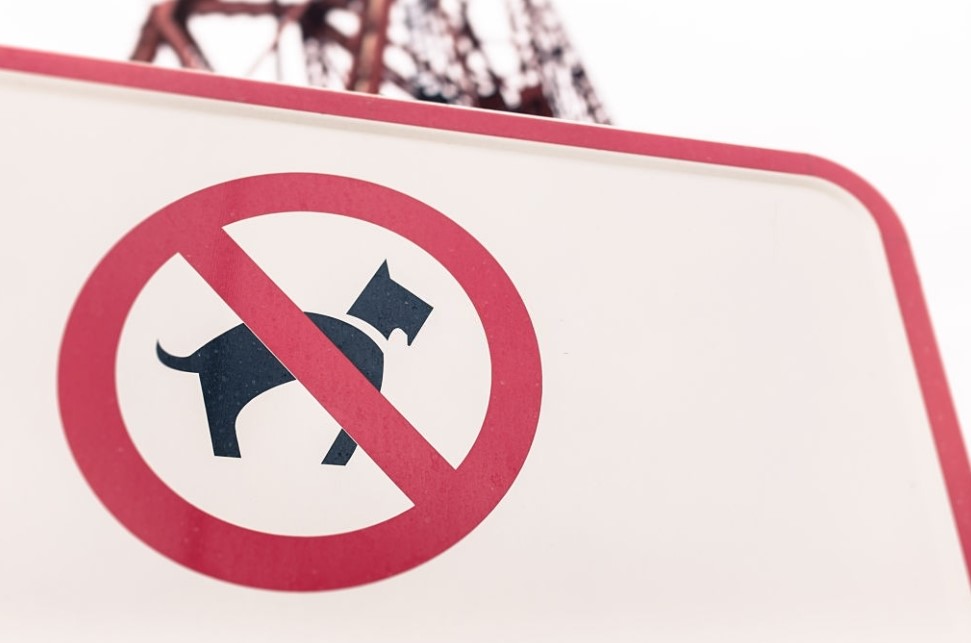 peraturan tinggal di apartemen dilarang membawa hewan peraturan tinggal di apartemen dilarang membawa hewan