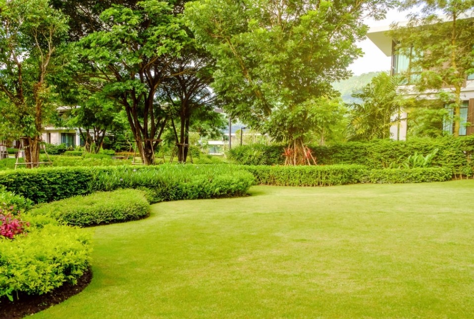 superblok Lingkungan yang Tertata Rapi superblok Lingkungan yang Tertata Rapi