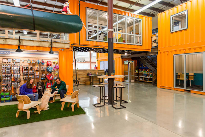 desain kantor ramah binatang peliharaan desain kantor ramah binatang peliharaan