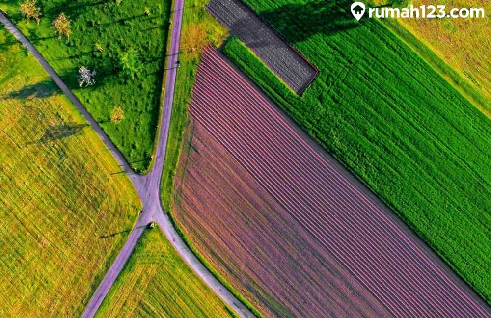 harga-tanah-di-banyuwangi