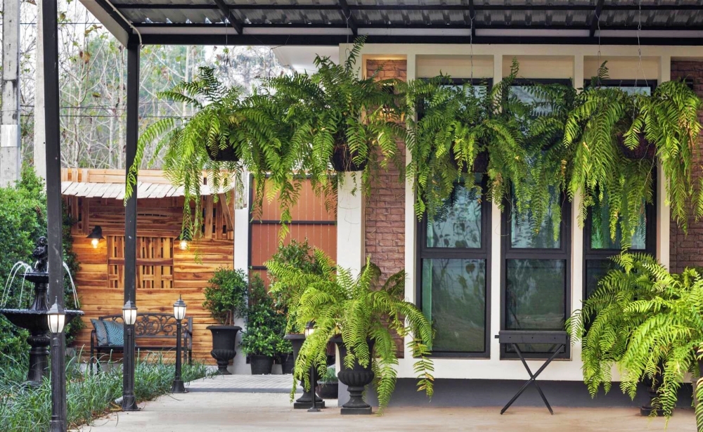 memberi-suasan-sejuk-pada-rumah memberi-suasan-sejuk-pada-rumah