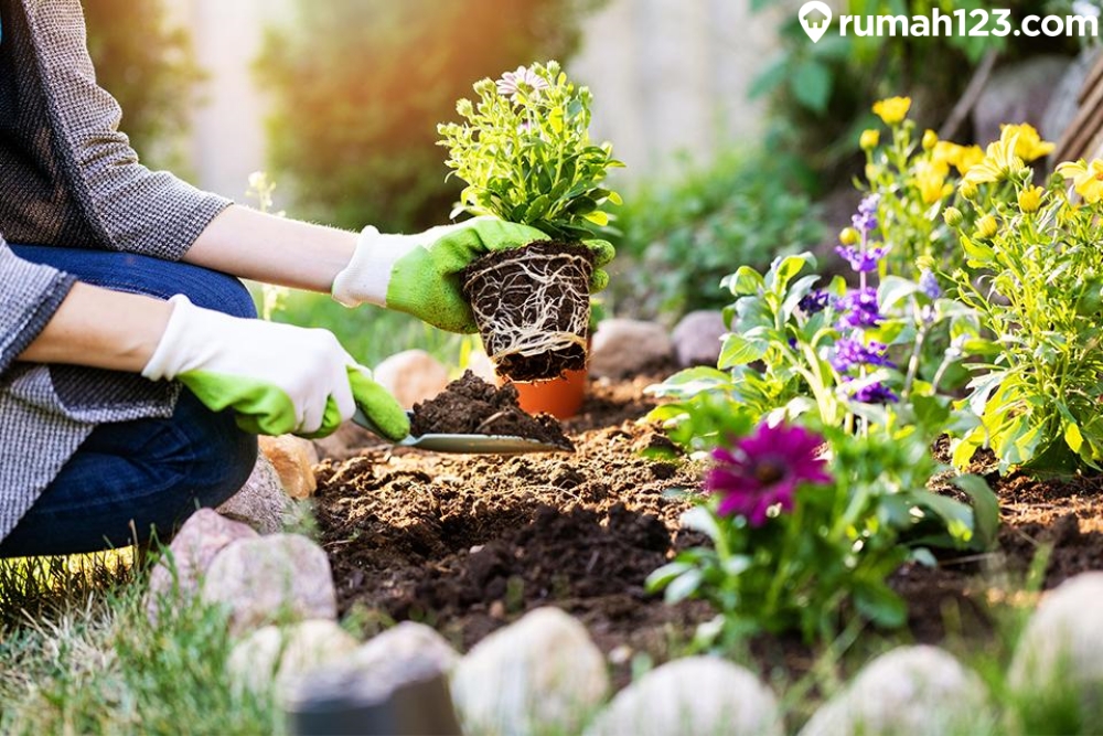 taman-untuk-menyelurkan-hobi taman-untuk-menyelurkan-hobi