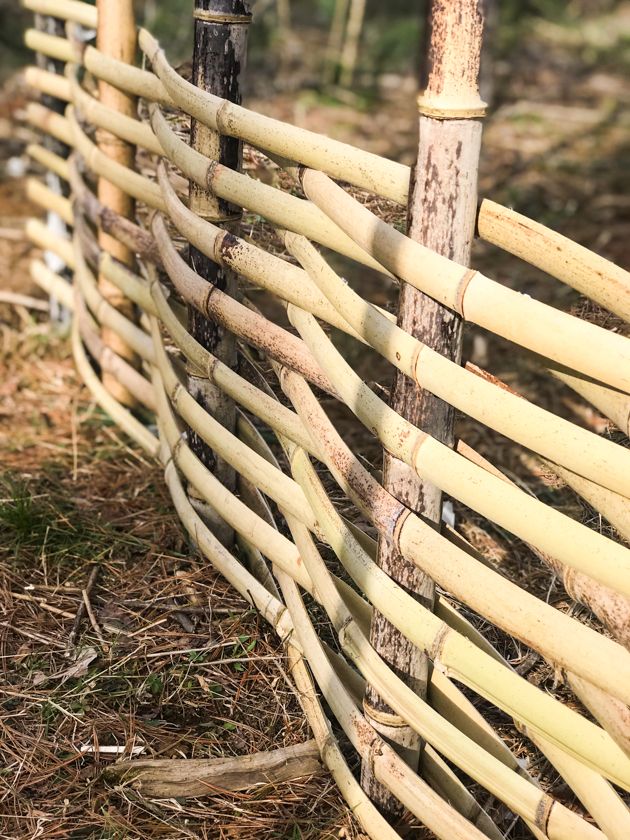 7 Inspirasi Desain Pagar Bambu Minimalis Bikin Rumah Sejuk dan Asri