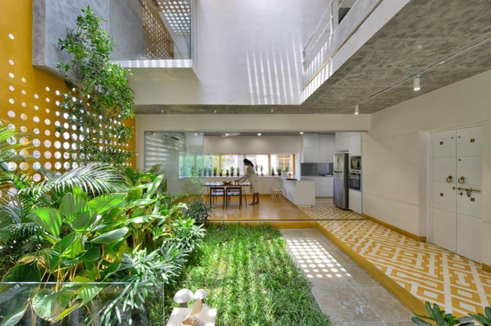 tata-rapi-tanaman-indoor