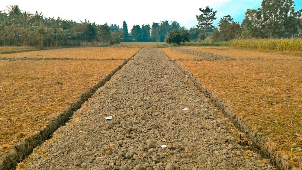 investasi-tanah-kavling investasi-tanah-kavling