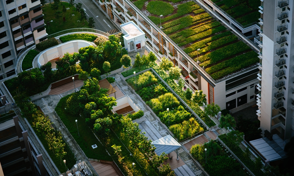 Apa Itu Green Roof jenis jenis green roof