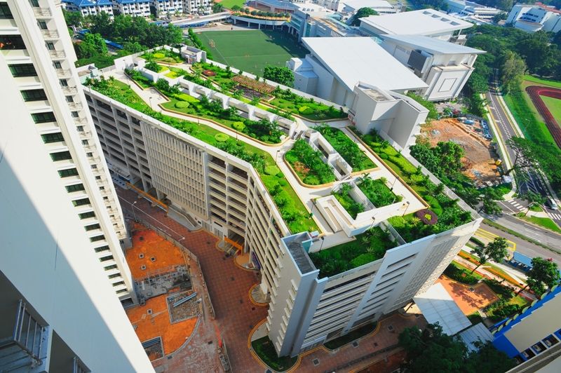 Manfaat Green Roof manfaat green roof