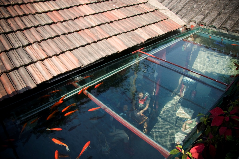 desain-rumah-dengan-kolam-ikan-sebagai-atap