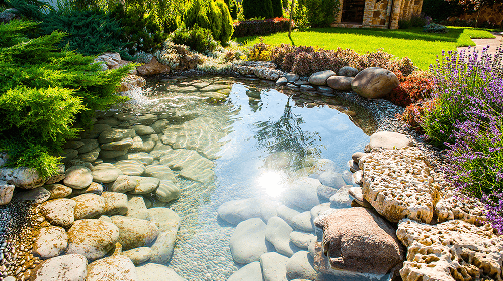 Landscape Taman dengan Kolam Landscape Taman dengan Kolam