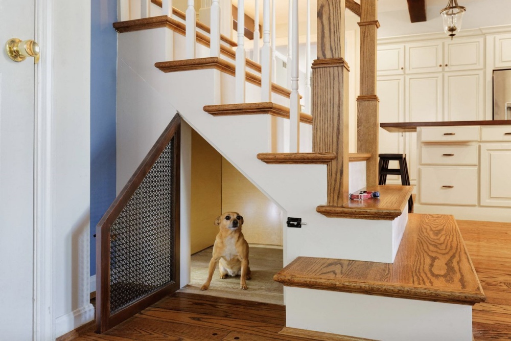 Kreasi Tempat Istirahat Hewan Peliharaan Kreasi Tempat Istirahat Hewan Peliharaan