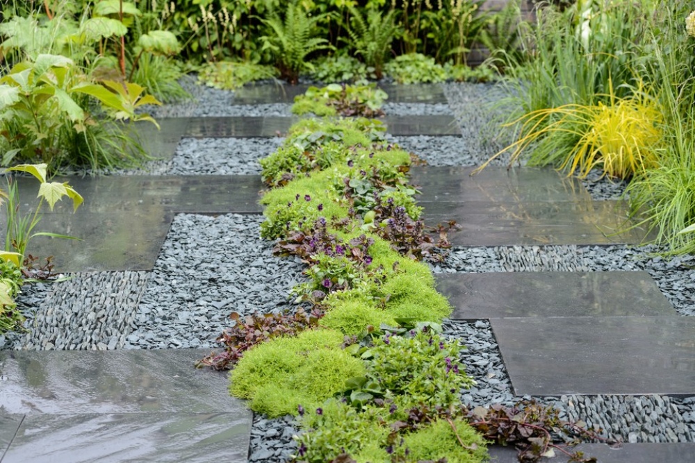 Taman dengan Lantai Paving Taman dengan Lantai Paving