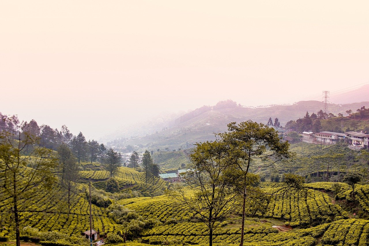 Memiliki Banyak Destinasi Wisata Memiliki Banyak Destinasi Wisata