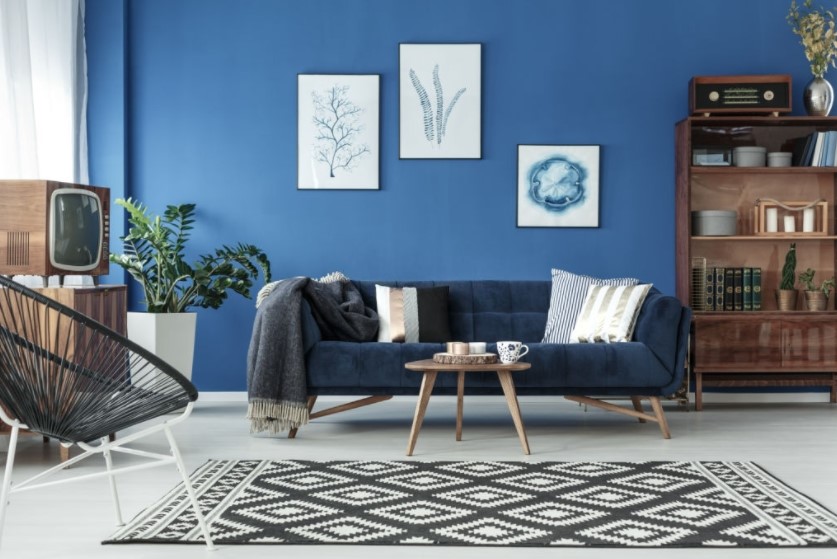Warna Ruang Tamu Navy Blue yang Menenangkan Warna Ruang Tamu Navy Blue yang Menenangkan