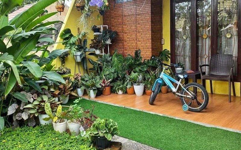 8 Inspirasi Halaman Rumah Sederhana yang Nyaman