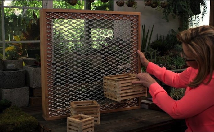 Bagaimana Cara Membuat Taman Vertikal Tips sebelum Membuat Taman Vertikal di Rumah