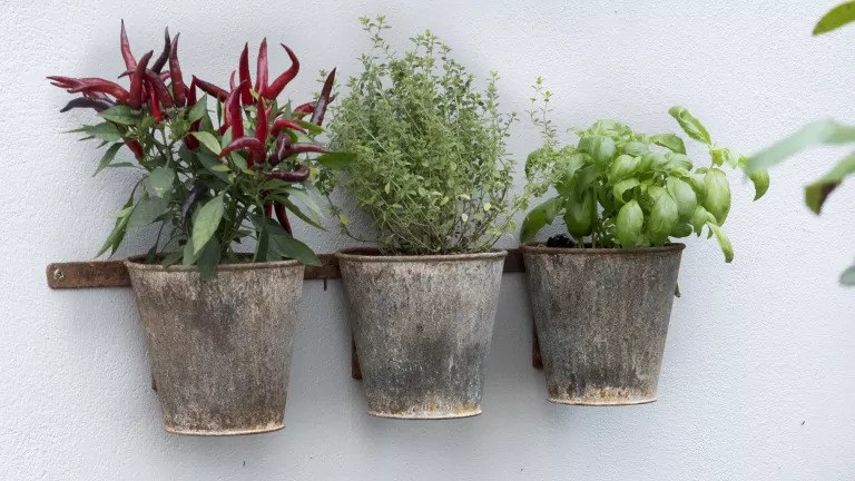 Daur Ulang Bahan Bekas untuk Taman Vertikal pot bunga dari bahan bekas