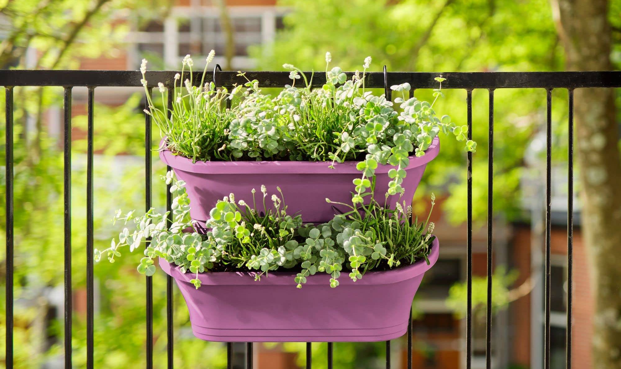 Gantung Pot di Pagar Balkon Gantung Pot di Pagar Balkon