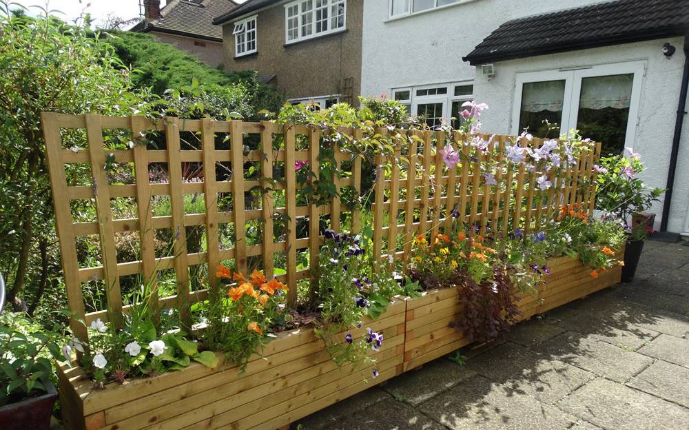 Gunakan Trelis Planter untuk Tumbuhan Rambat Gunakan Trelis Planter untuk Tumbuhan Rambat