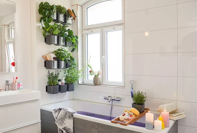 Taman Vertikal di Kamar Mandi Taman Vertikal di Kamar Mandi