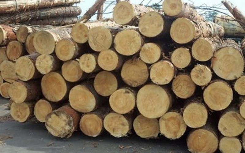 img-responsive kayu albasia