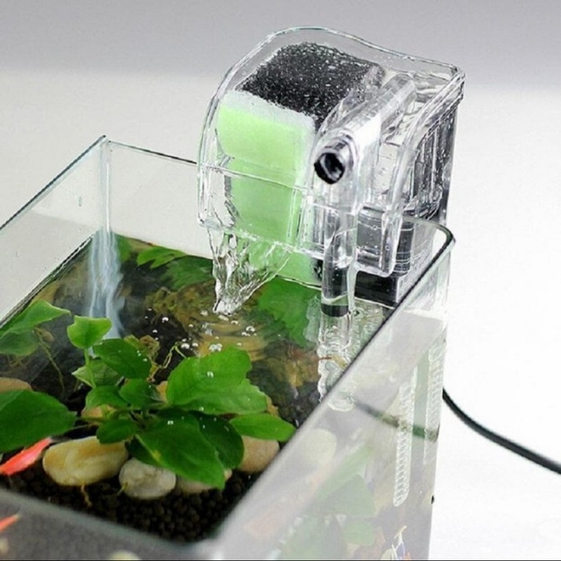 Cara Pasang Filter Aquarium di Rumah yang Benar