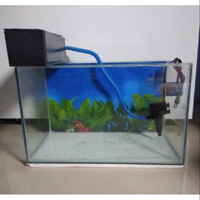 Cara Pasang Filter Aquarium di Rumah yang Benar