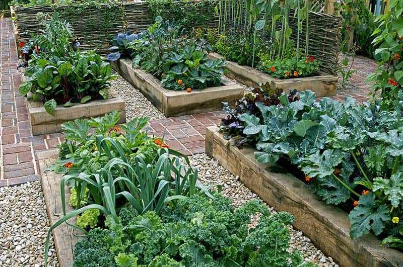 5 Ragam Inspirasi Home Garden Minimalis | Bisa Jadi Sumber Pangan Keluarga
