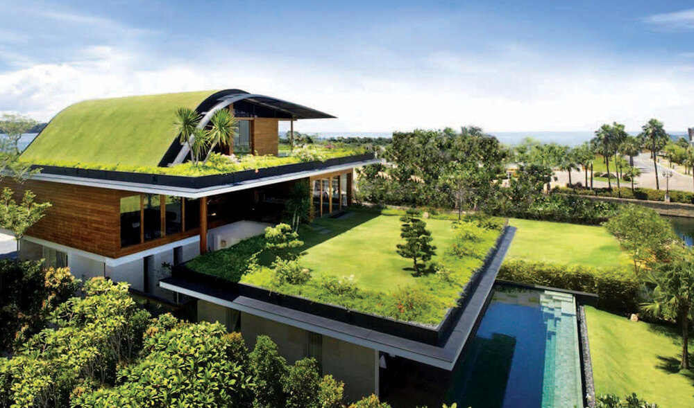 Green Roof Adalah: Arti, Jenis-Jenis dan Manfaatnya