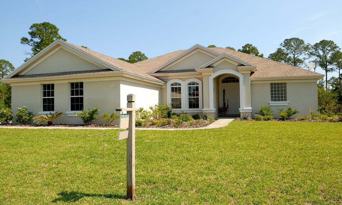 10 Inspirasi Desain Rumah Minimalis dengan Halaman Luas yang Asri dan Mewah