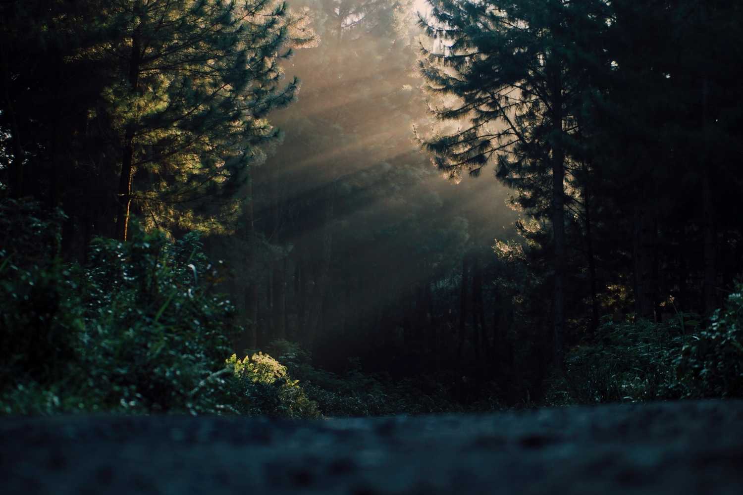 Potensi Lumajang sebagai Lokasi Investasi Properti