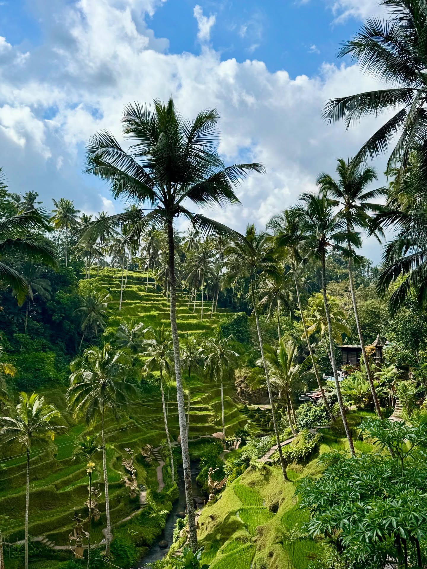 rumah dijual di ubud