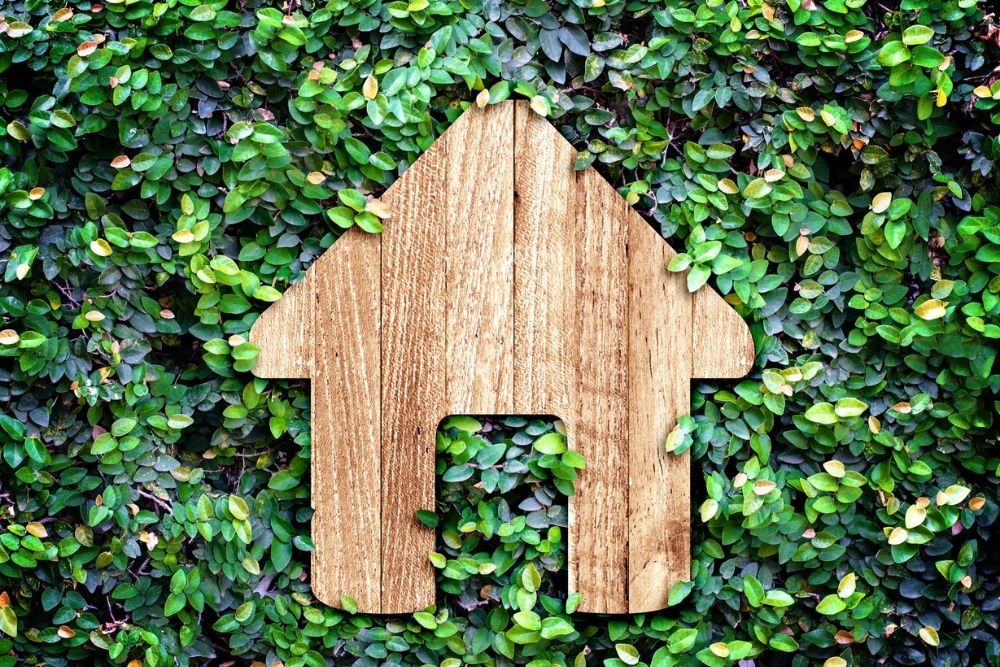 Syarat Rumah Hijau untuk Hidup Lebih Sehat