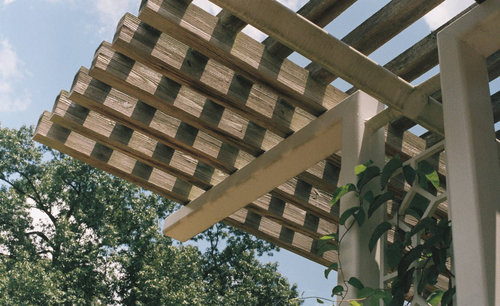 Pergola pada Eksterior Rumah