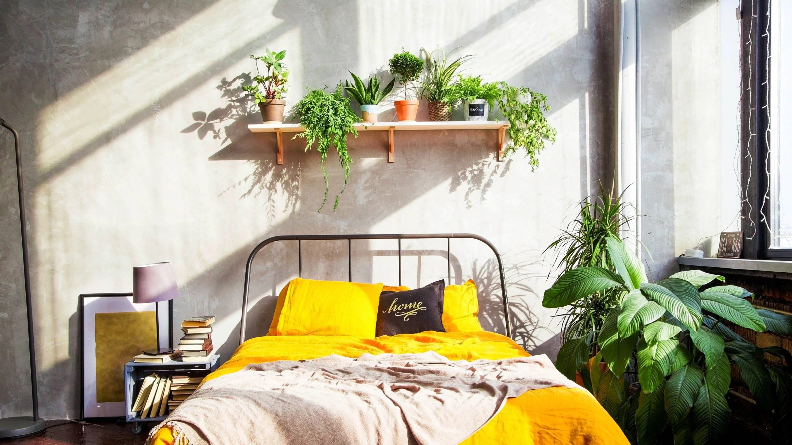 Memajang Tanaman Hias Menggunakan Ambalan