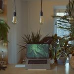 Biophilic Design Adalah: Pengertian, Prinsip, Ciri-ciri dan Contoh Desainnya
