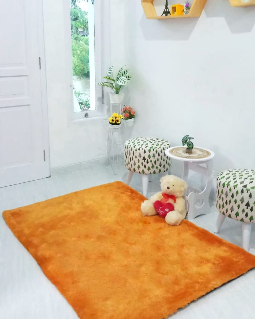 Karpet Lantai Bulu