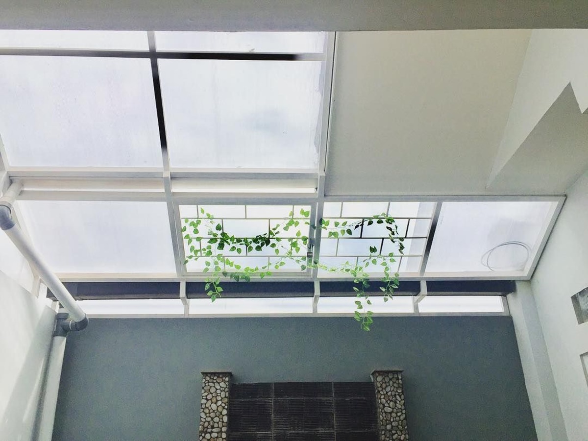 Desain Kanopi Transparan dengan Tanaman Rambat