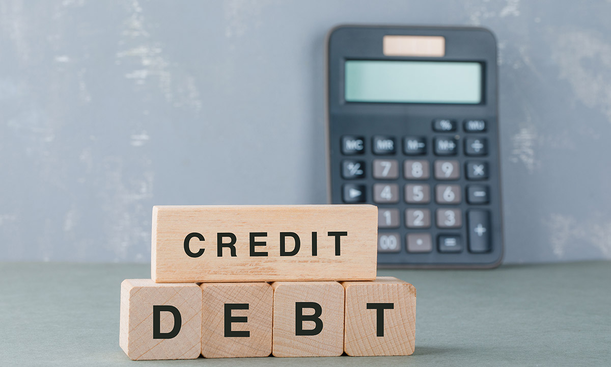 debt burden ratio adalah