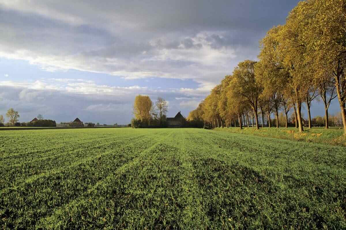 Apakah Tanah Kosong Harus Bayar Pajak