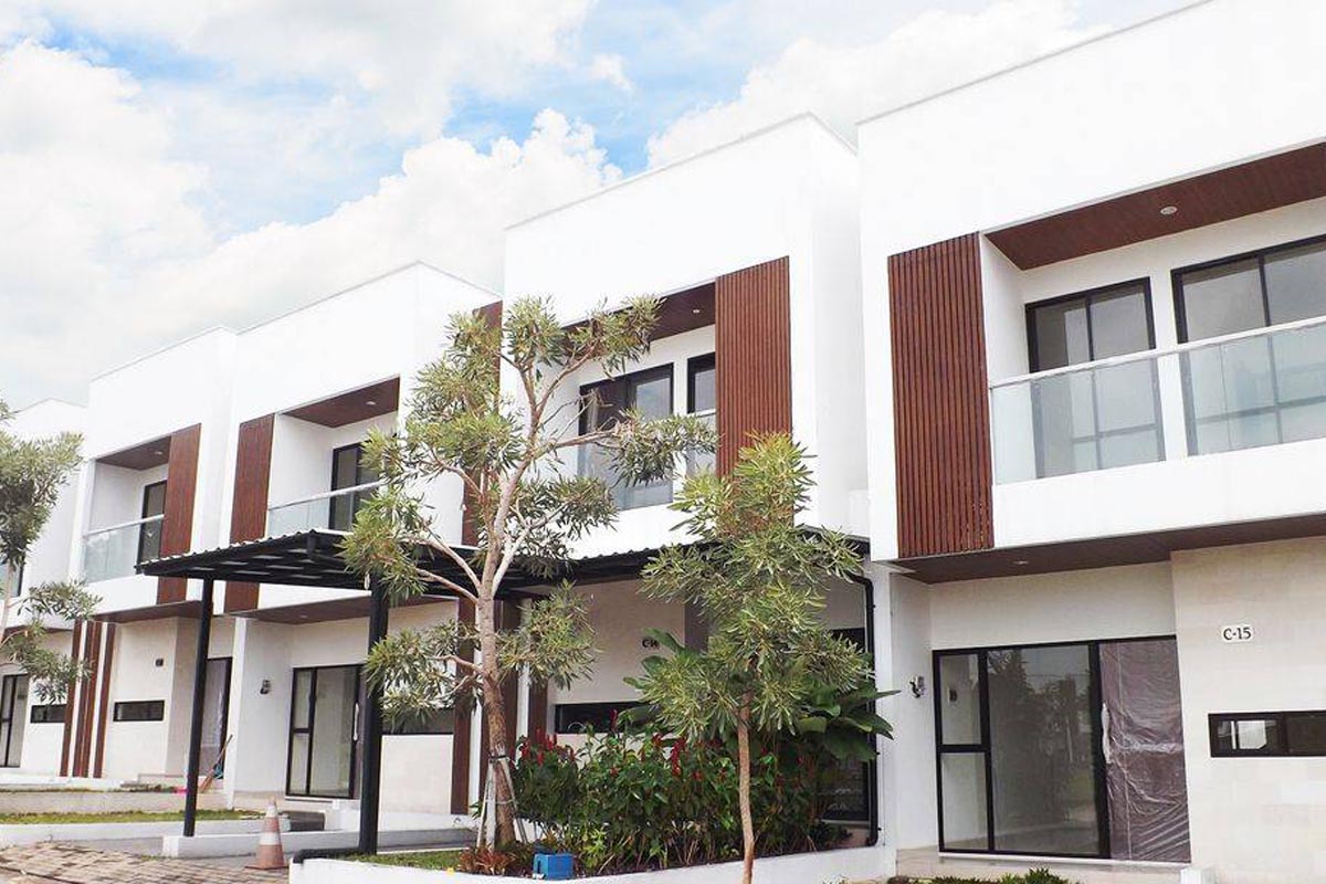 green bamboo terrace