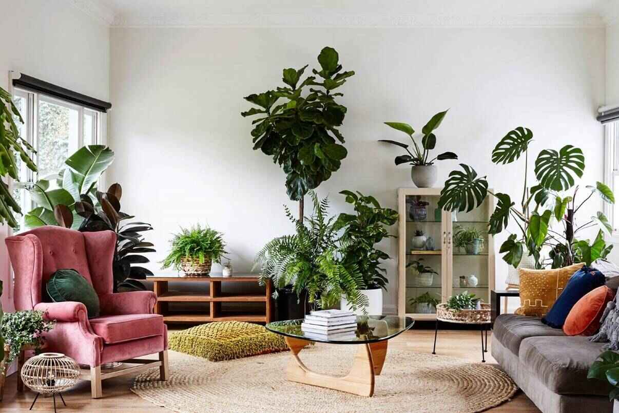 Desain Rumah Minimalis Islami dengan Tumbuhan