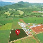 8 Cara Mencari Orang yang Mau Beli Tanah dengan Cepat