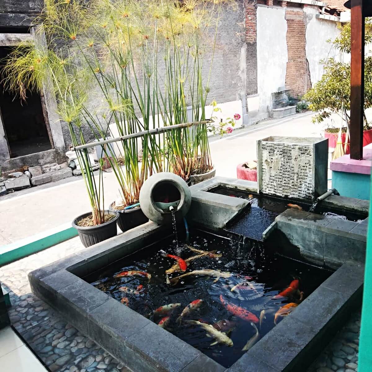 model kolam ikan minimalis klasik