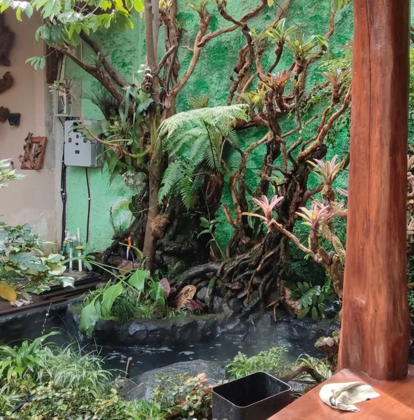 10. Desain Kolam Koi dengan Paludarium