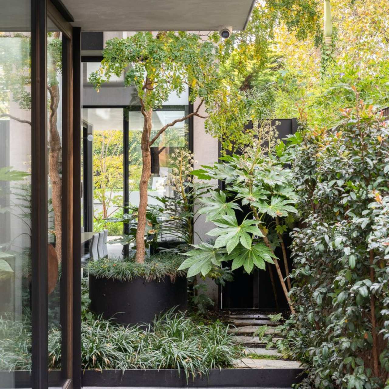 desain rumah biofilik
