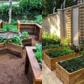 5 Inspirasi Desain Kebun Sayur Belakang Rumah​ yang Rapi dan Estetik