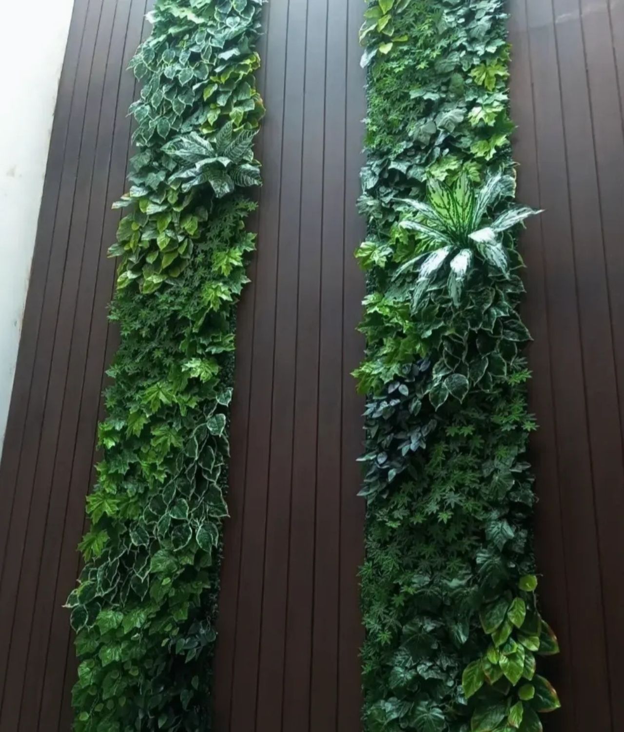 Taman Vertikal Sintetis