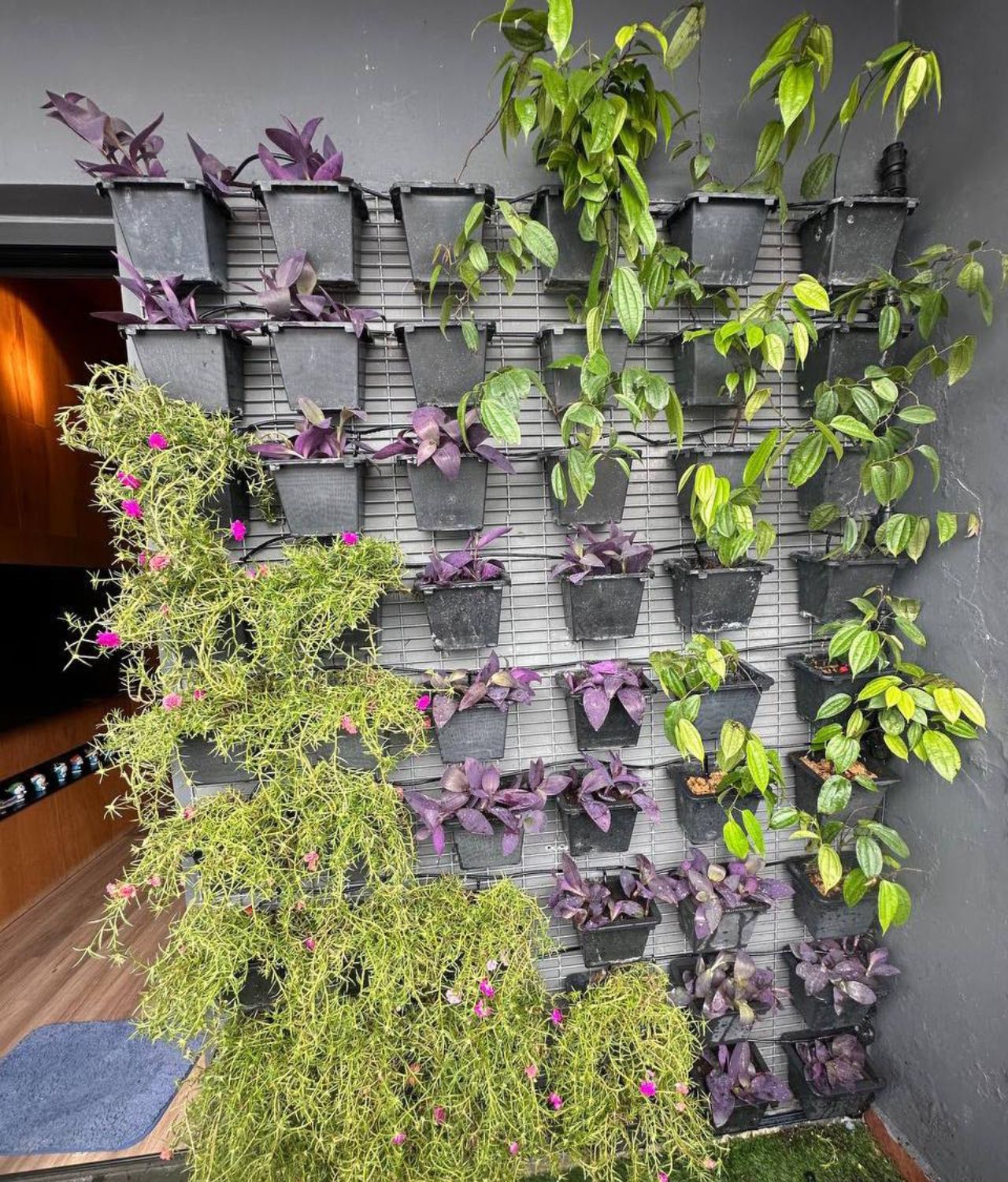Contoh Taman Vertikal Garden Minimalis