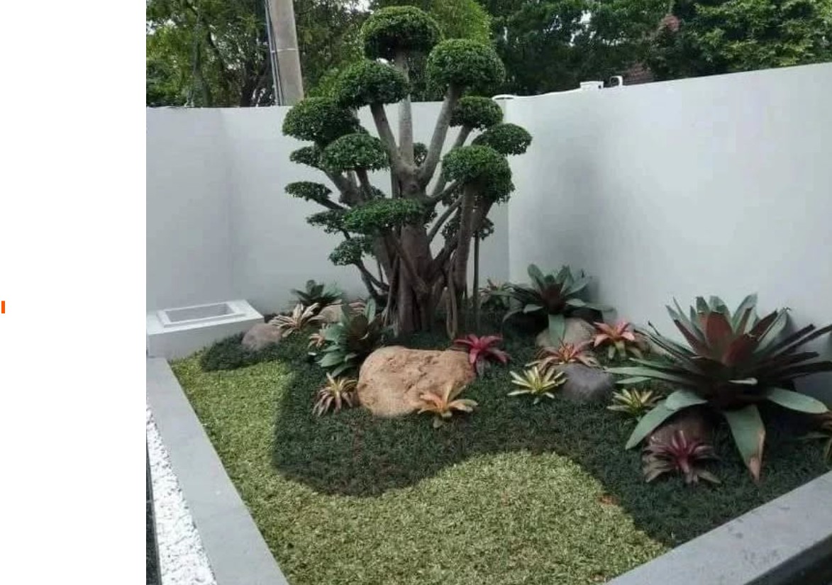 desain taman kecil dengan bonsai mini